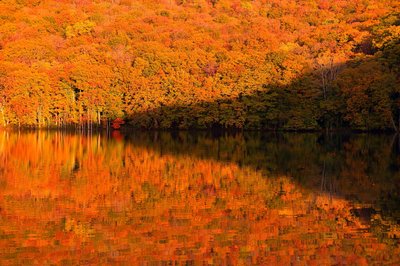 🏞️ 츠타누마(쓰타누마) 이미지 2