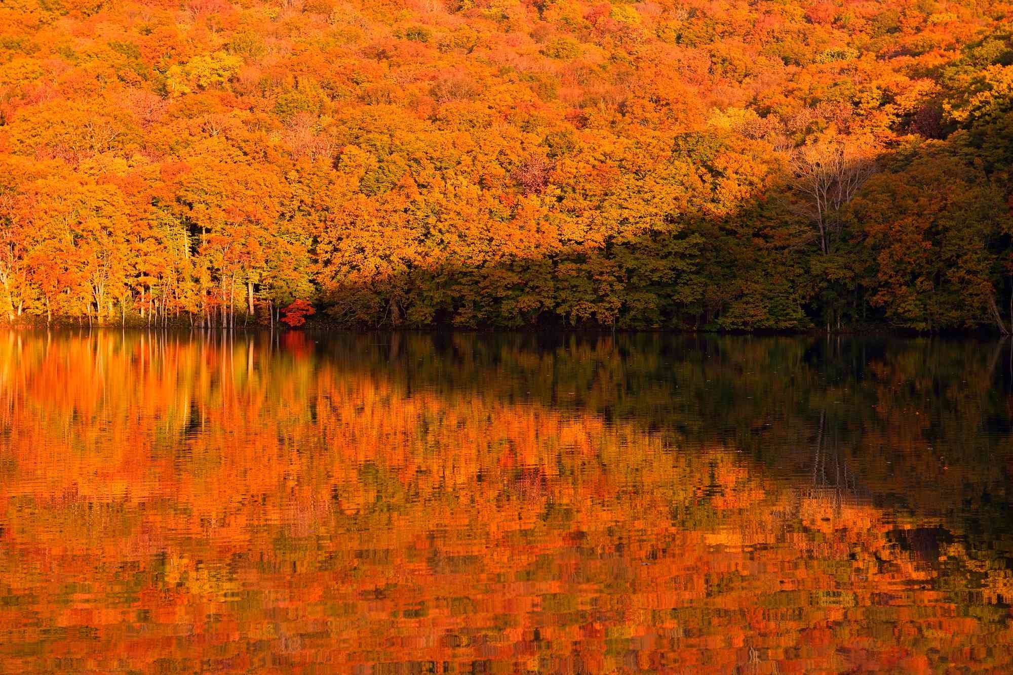 🏞️ 츠타누마(쓰타누마) 이미지 1