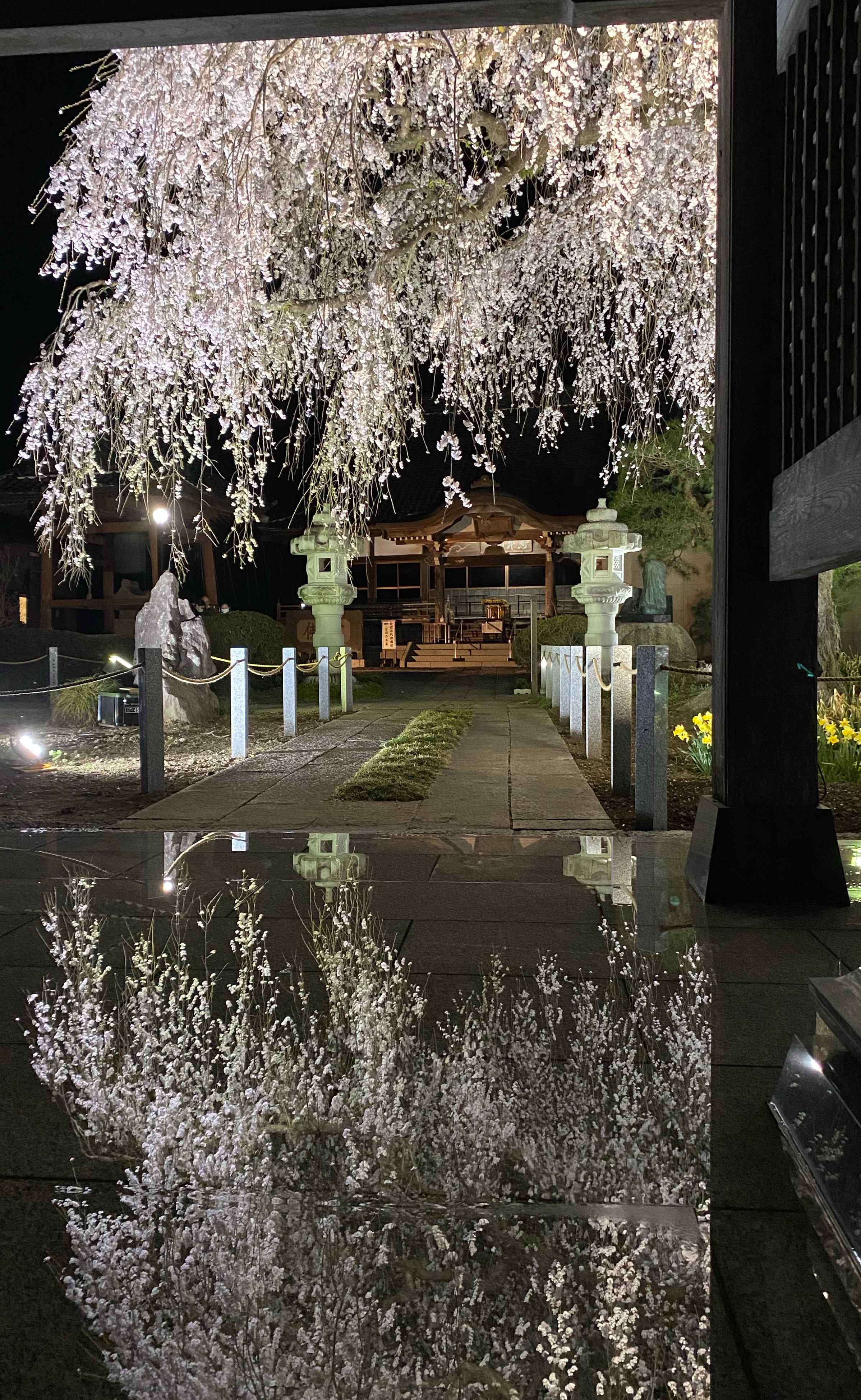 🍁 안코쿠지 이미지 4