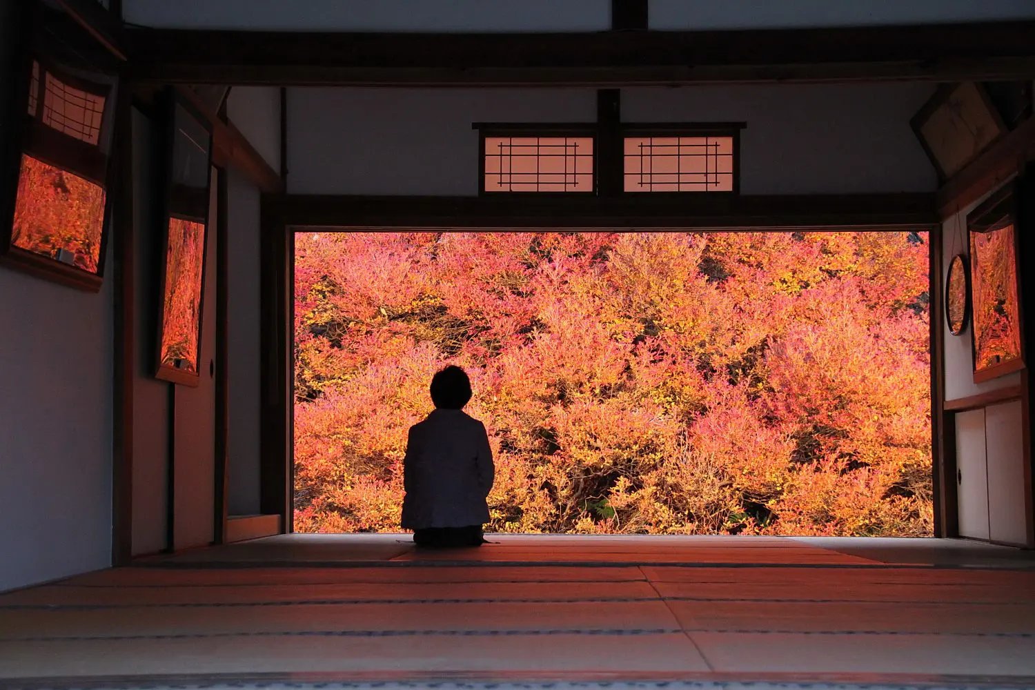 🍁 안코쿠지 이미지 5