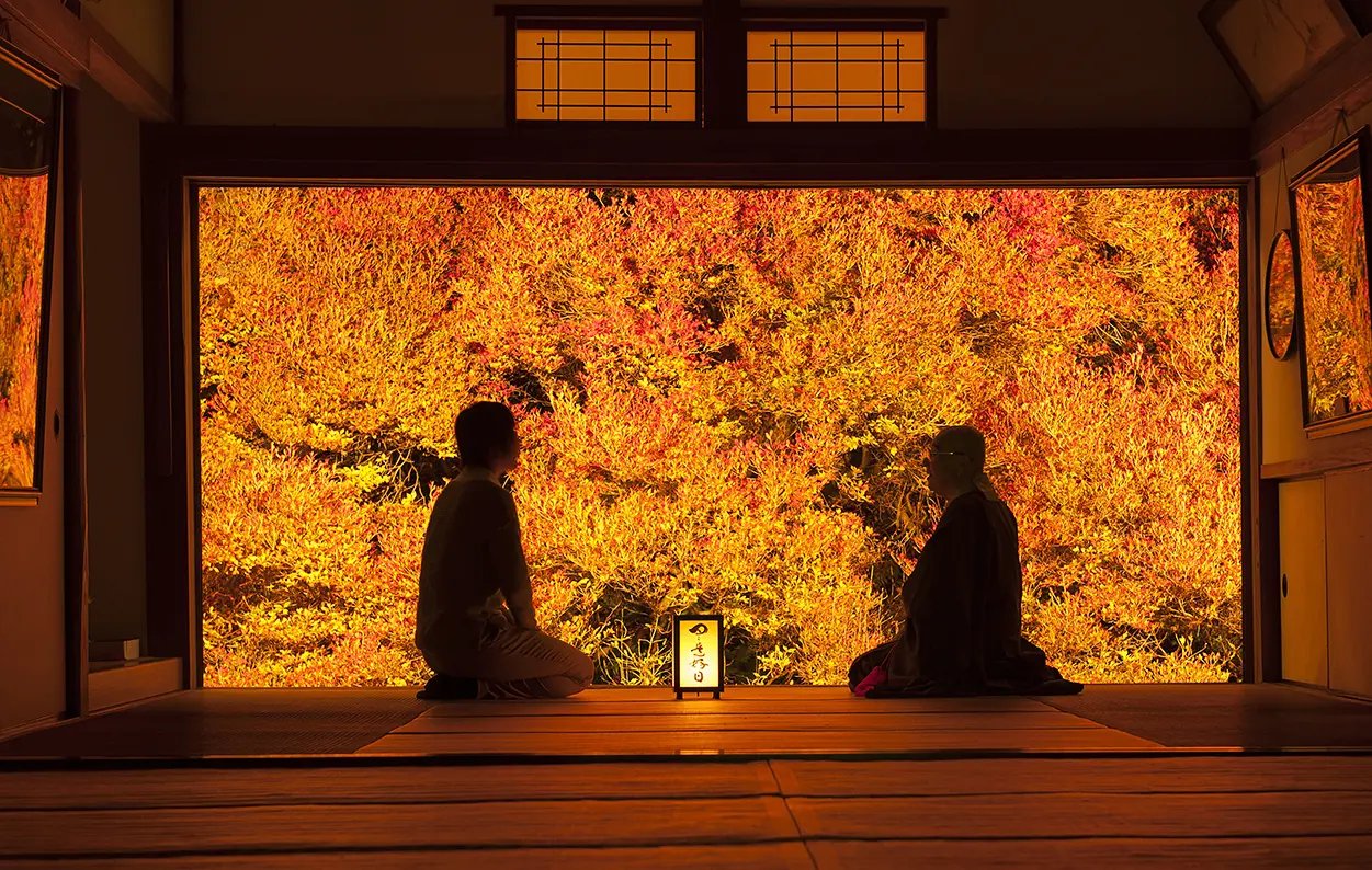 🍁 안코쿠지 이미지 8