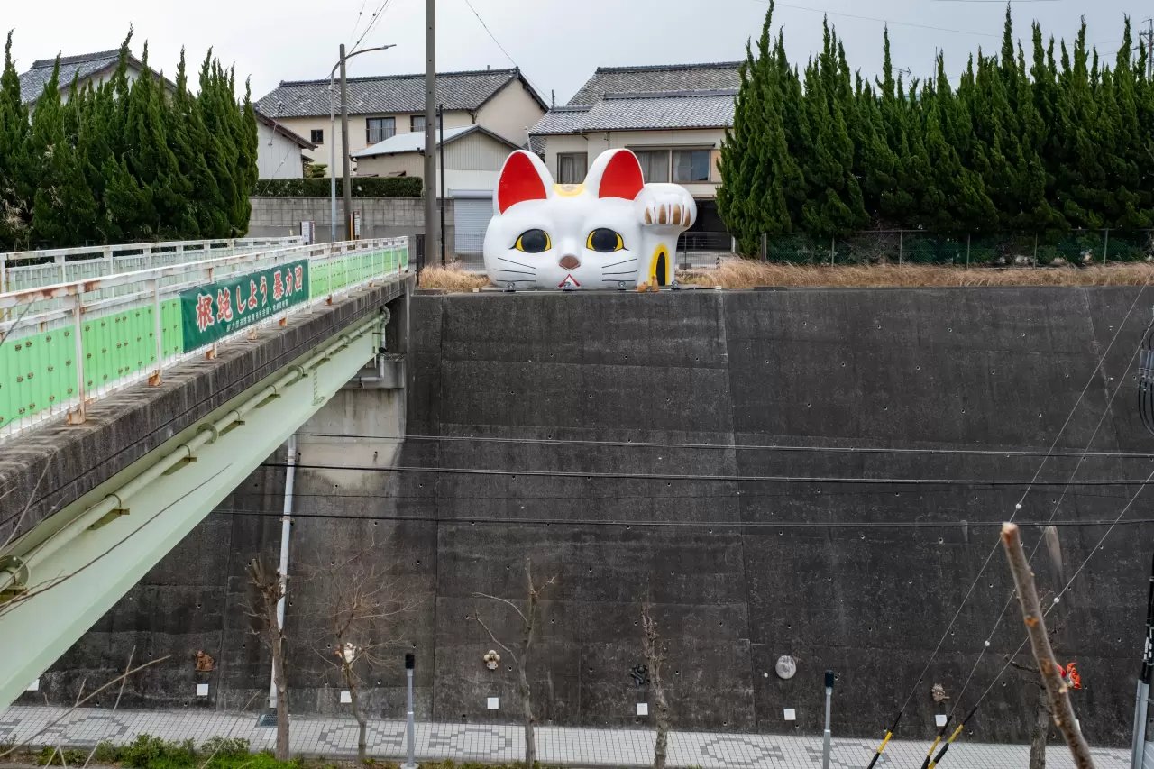 😻 토코냥 이미지 7