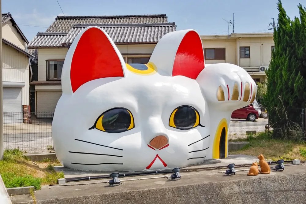 😻 토코냥 이미지 8