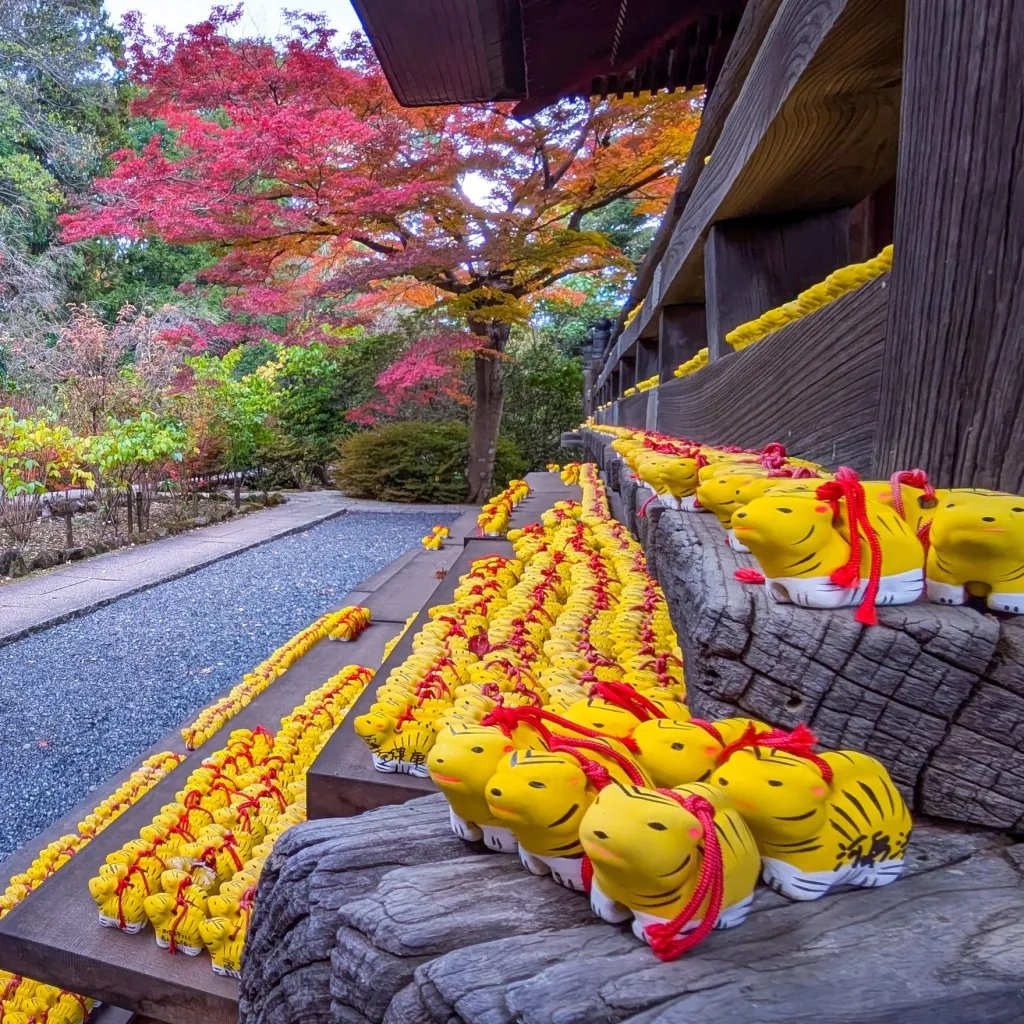 🏯 다문원(타몬인) 이미지 6