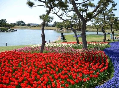 ♨️ 광명천(코메이센) 이미지 1