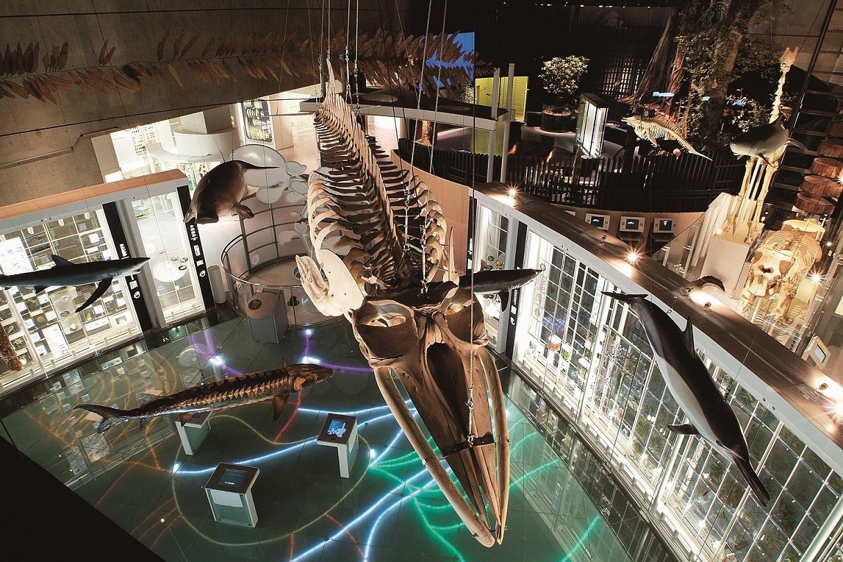 🏛️ 국립과학박물관 이미지 9