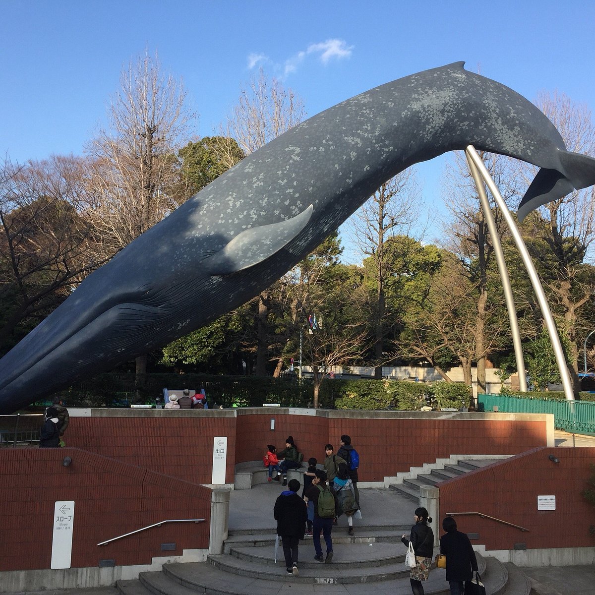 🏛️ 국립과학박물관 이미지 6