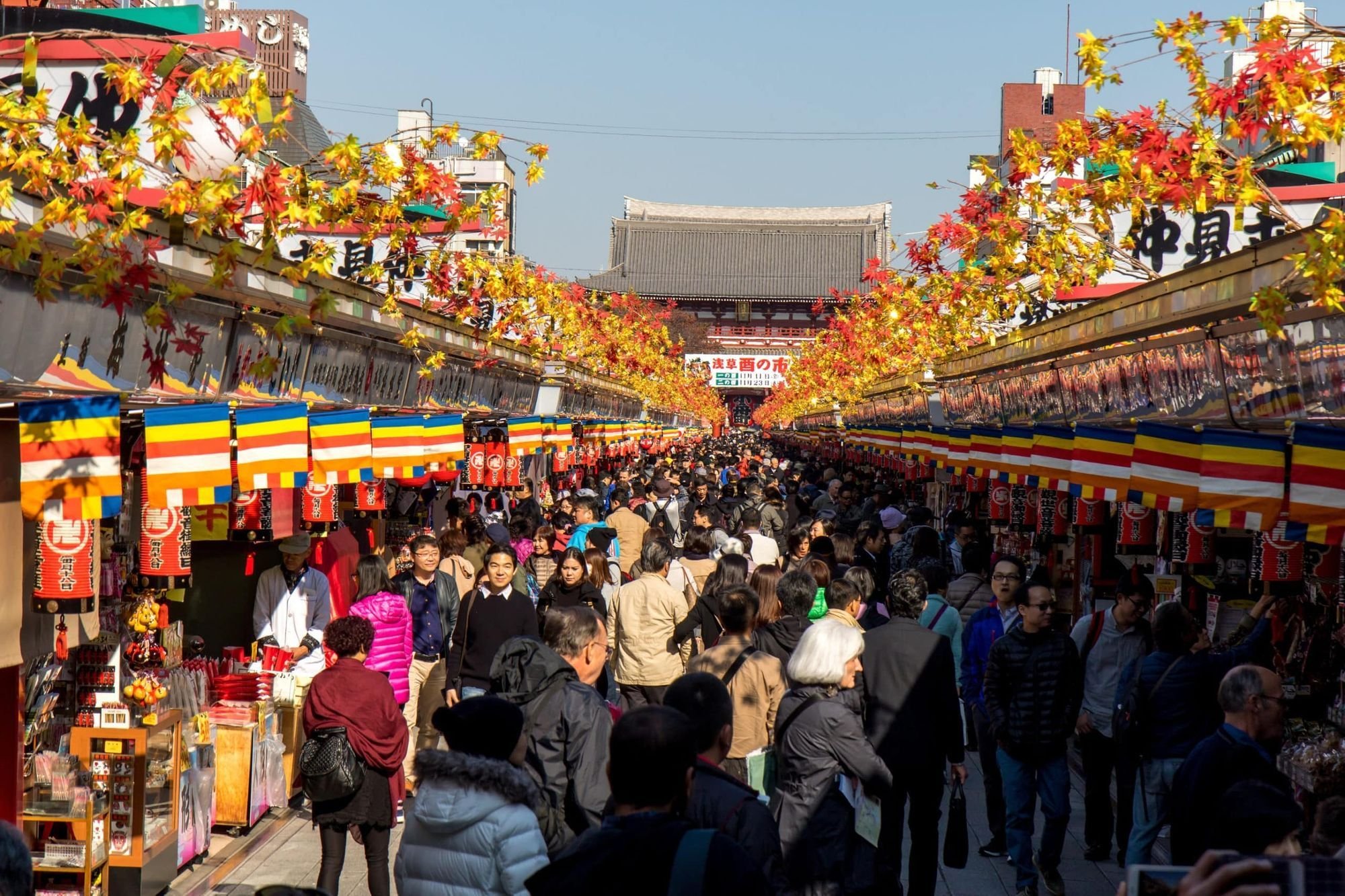 🛍️ 나카미세도리 이미지 3