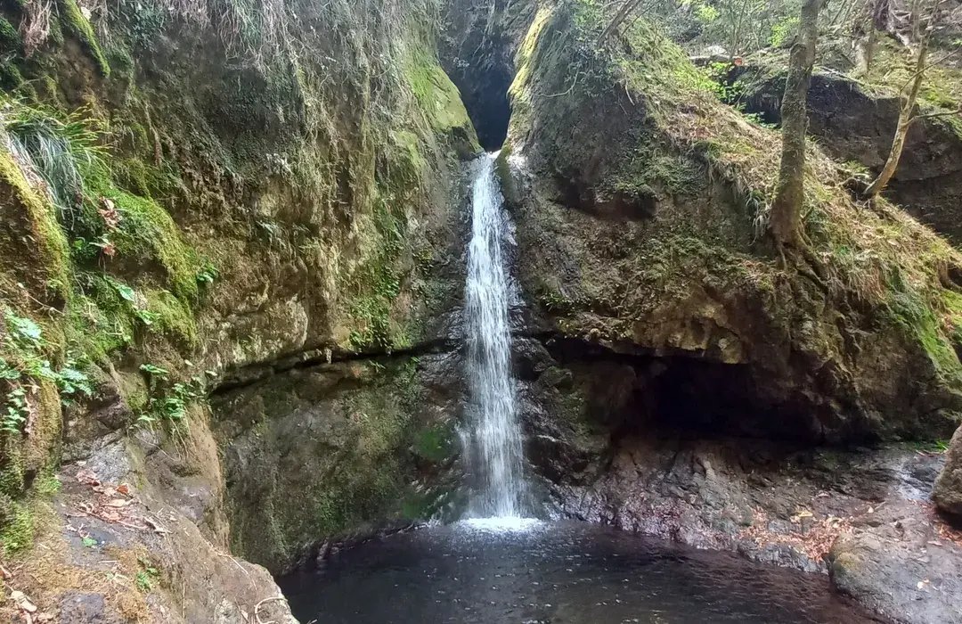 ⛰️ 대악산(오다케산) 이미지 5