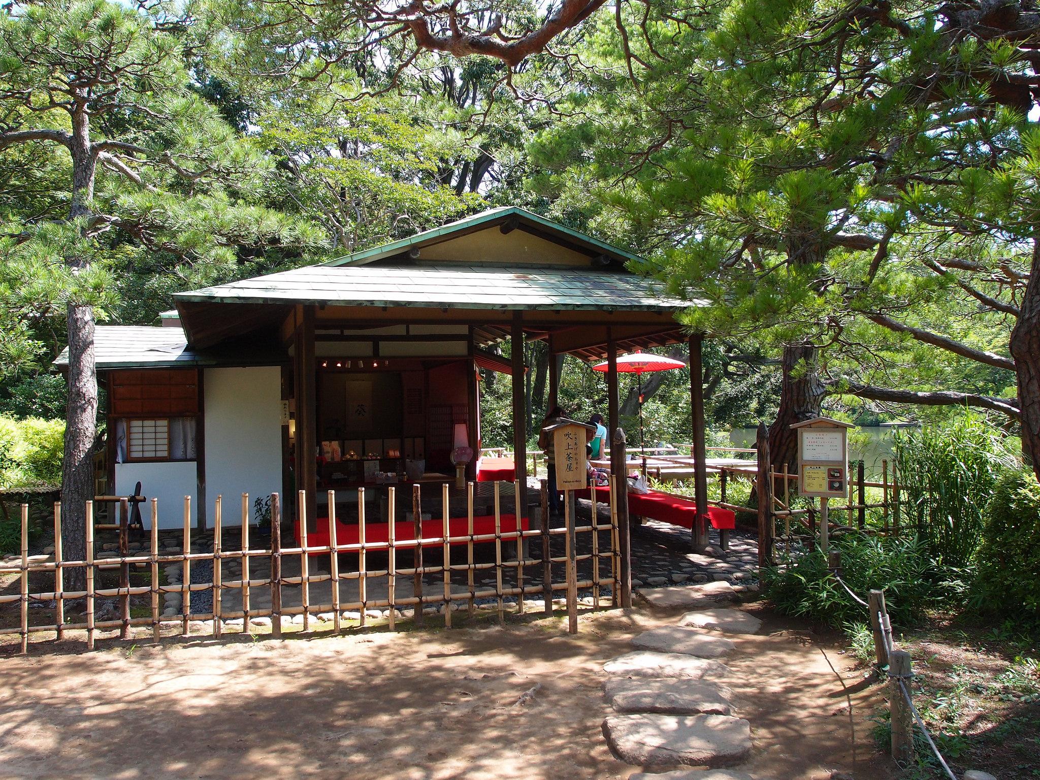 🌳 리쿠기엔 이미지 5