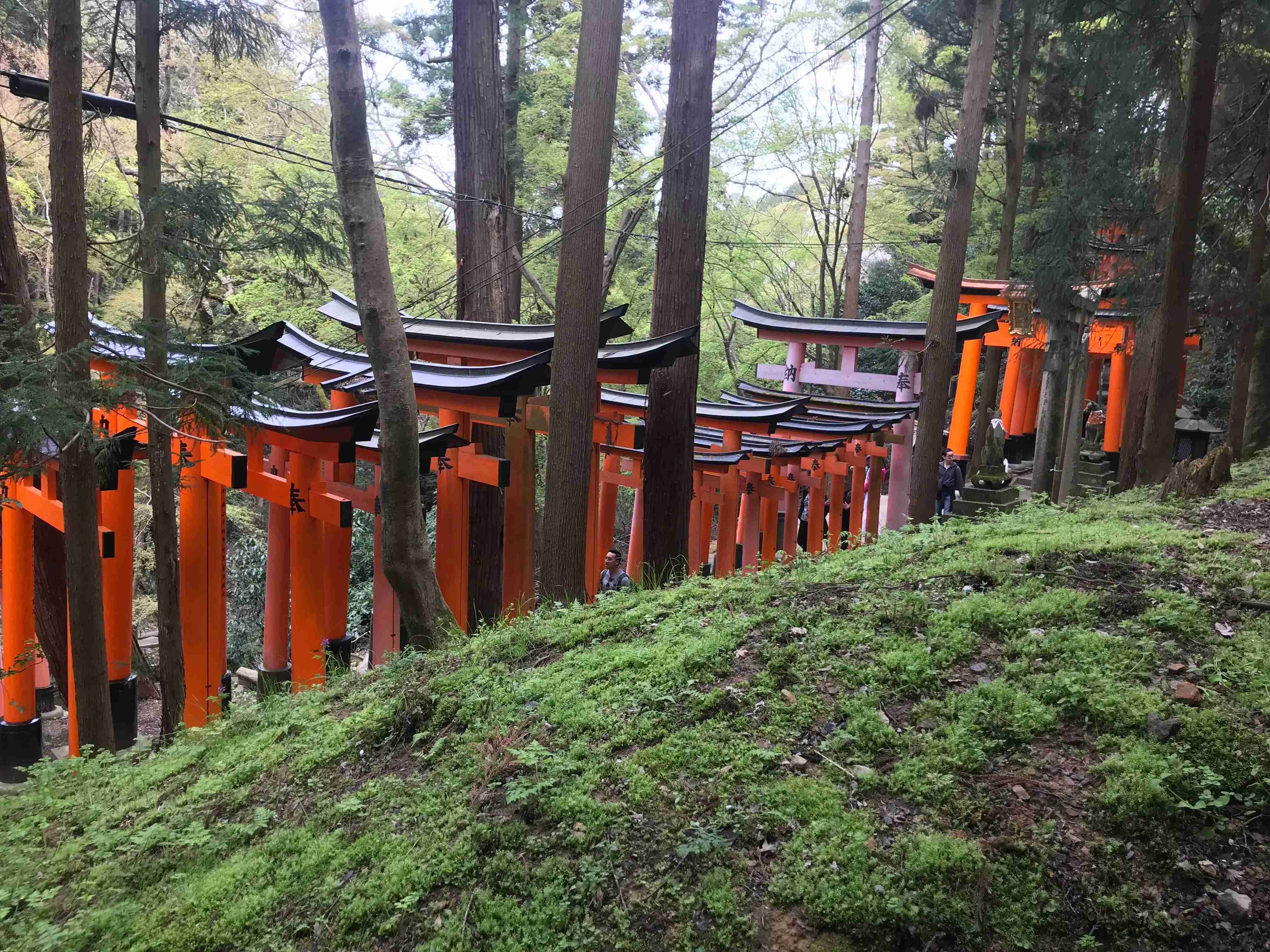 ⛩️ 요운지(오이와 이나리) 이미지 1