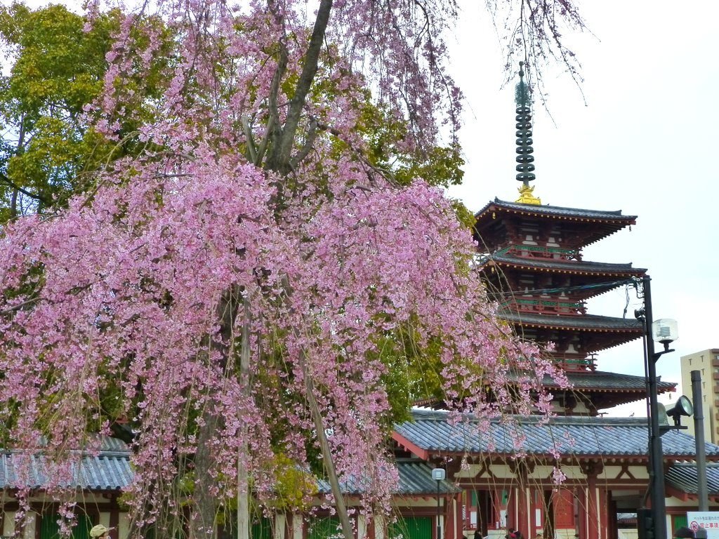 🏯 천왕사(덴노지) 이미지 7