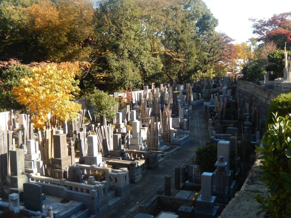 🏯 호국사(고코쿠지) 이미지 5