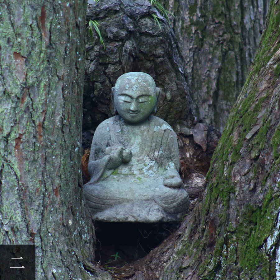 ⛩️ 상락사(죠라쿠지) 이미지 5