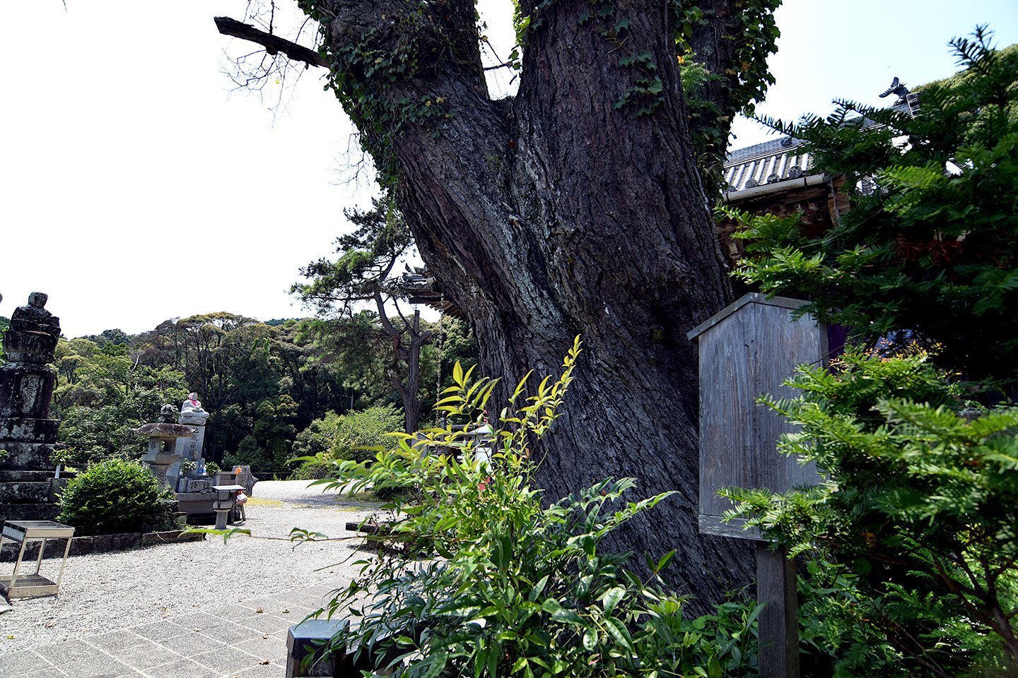 ⛩️ 상락사(죠라쿠지) 이미지 7