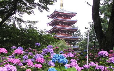 🌸 본토사(혼도지) 이미지 7