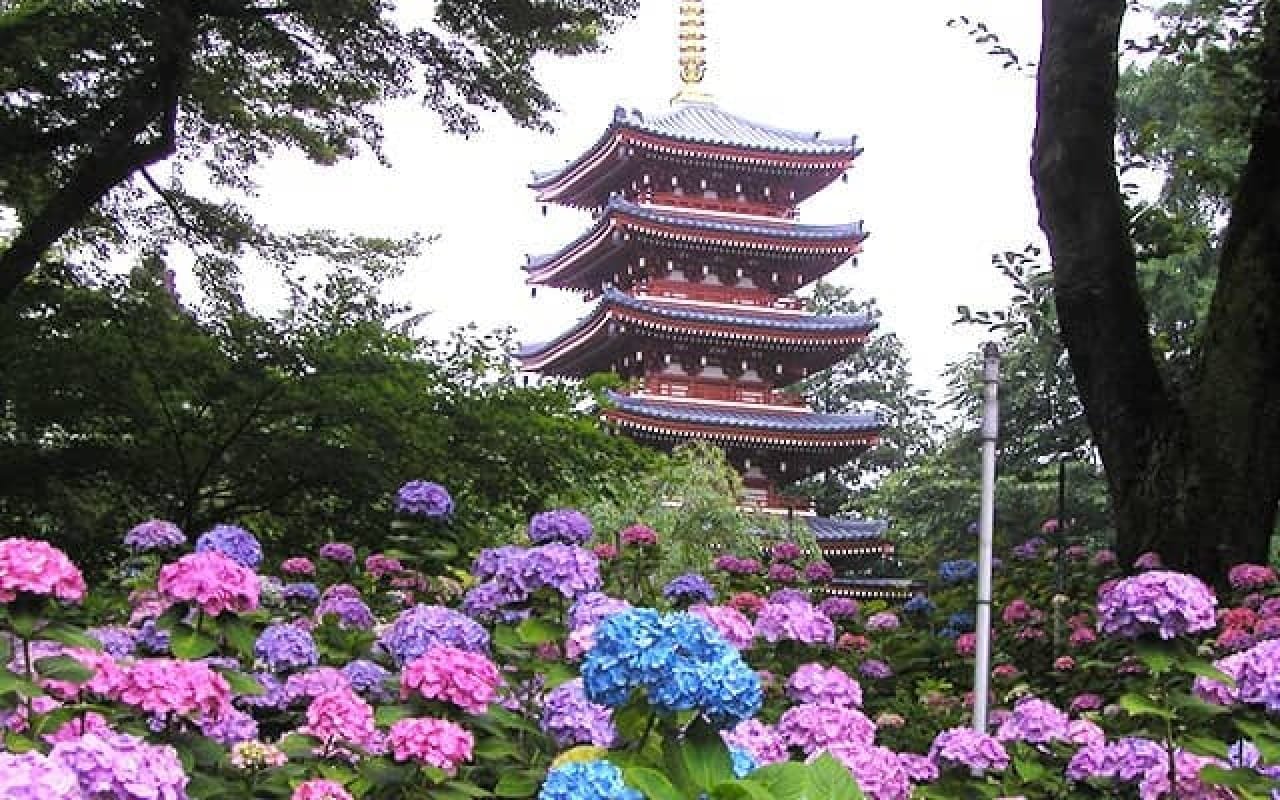 🌸 본토사(혼도지) 이미지 6