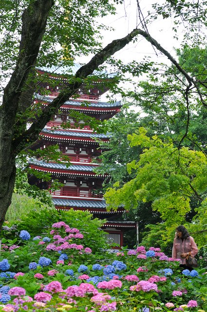 🌸 본토사(혼도지) 이미지 1