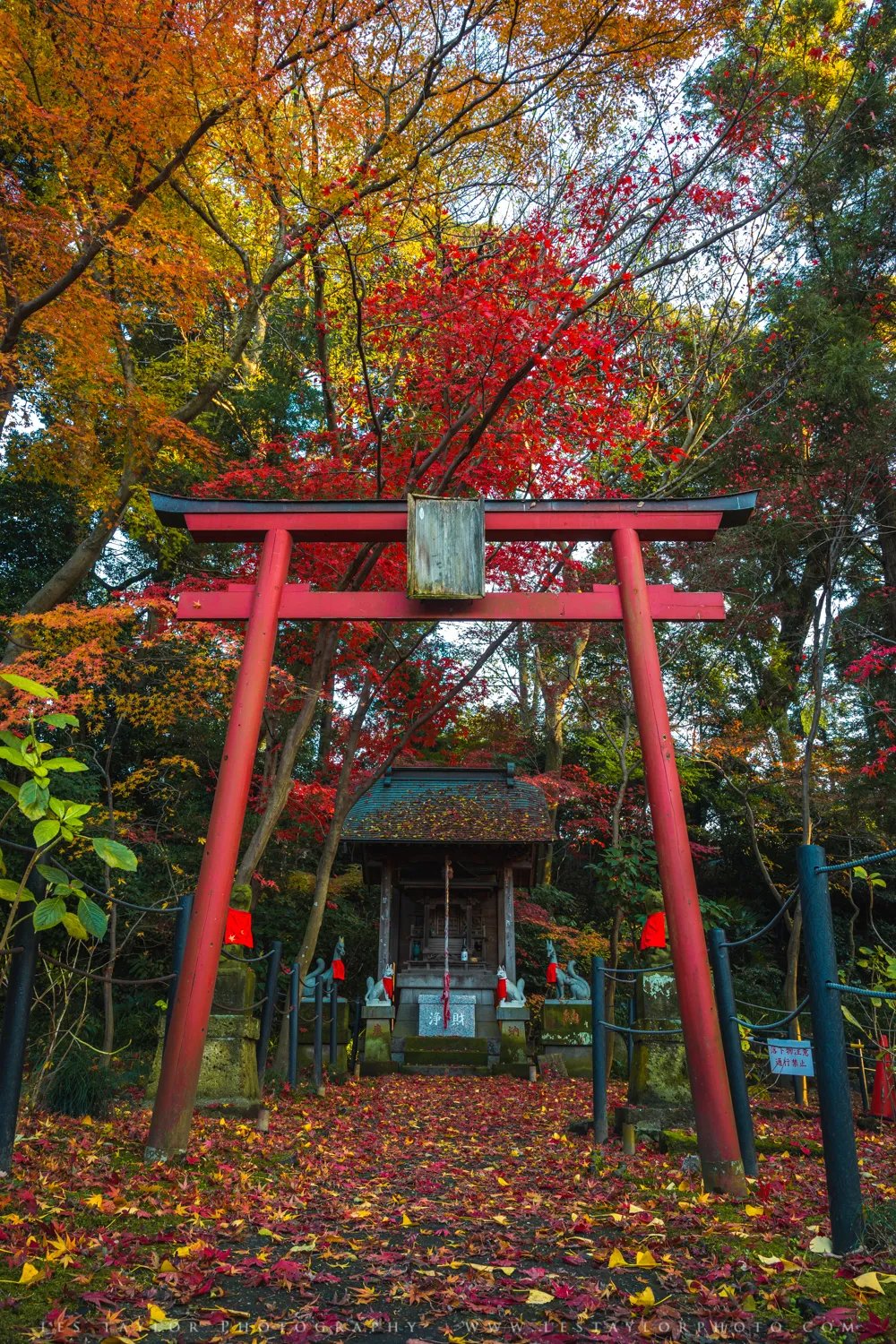 🌸 본토사(혼도지) 이미지 2