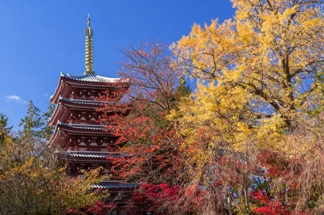 🌸 본토사(혼도지) 이미지 3