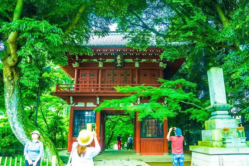 🌸 본토사(혼도지) 이미지 5