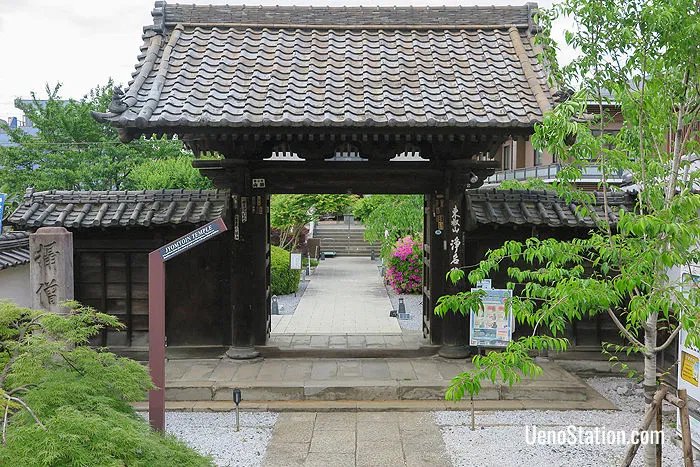 🌸 정명원(조묘인) 이미지 1