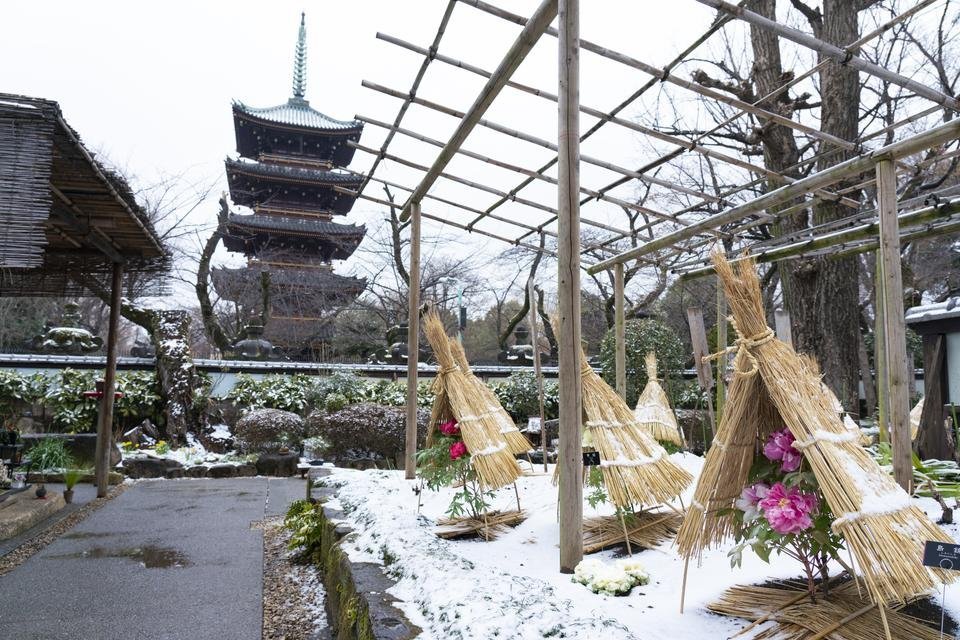 🌸 정명원(조묘인) 이미지 9