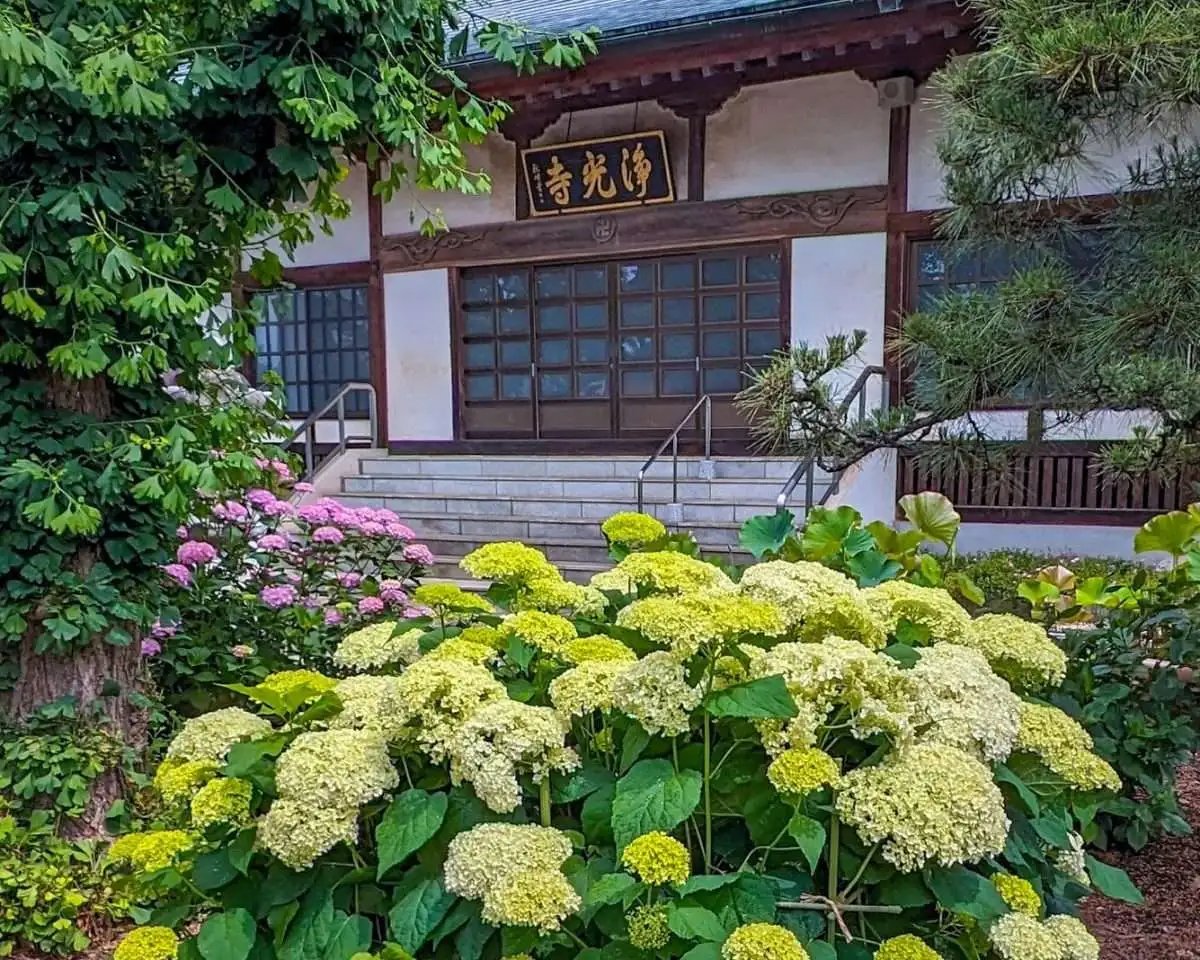 🏯 조신지(常信寺) 이미지 4