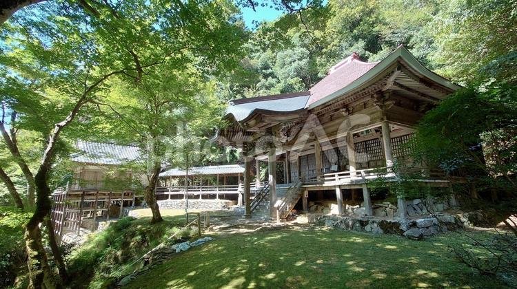 🏯 금강원(콘고인) 이미지 4