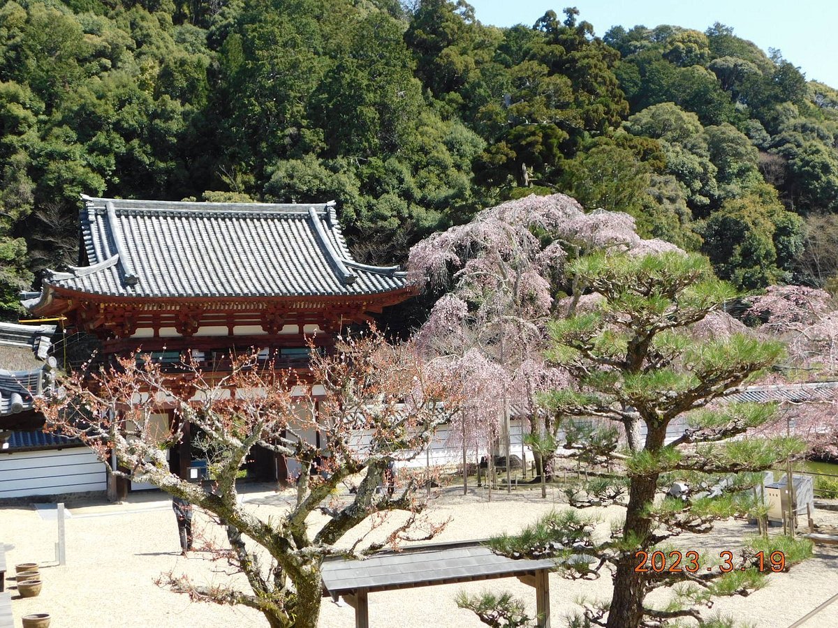 🏯 금강원(콘고인) 이미지 7