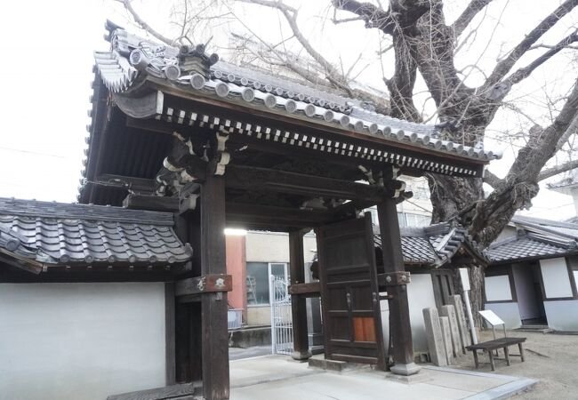 🌳 난슈지 이미지 3