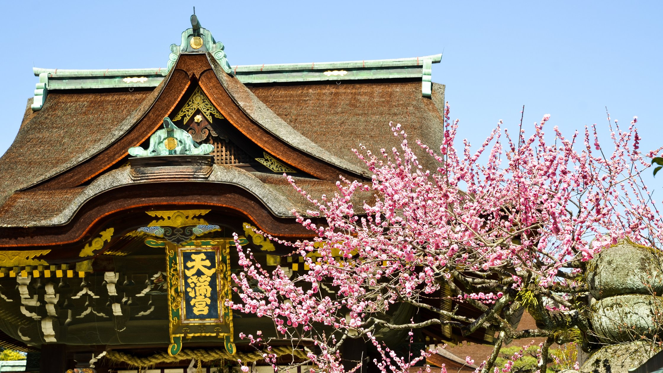 🌳 난슈지 이미지 6