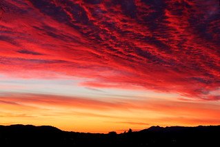 ⛰️ 천봉산(덴포우잔) 이미지 7