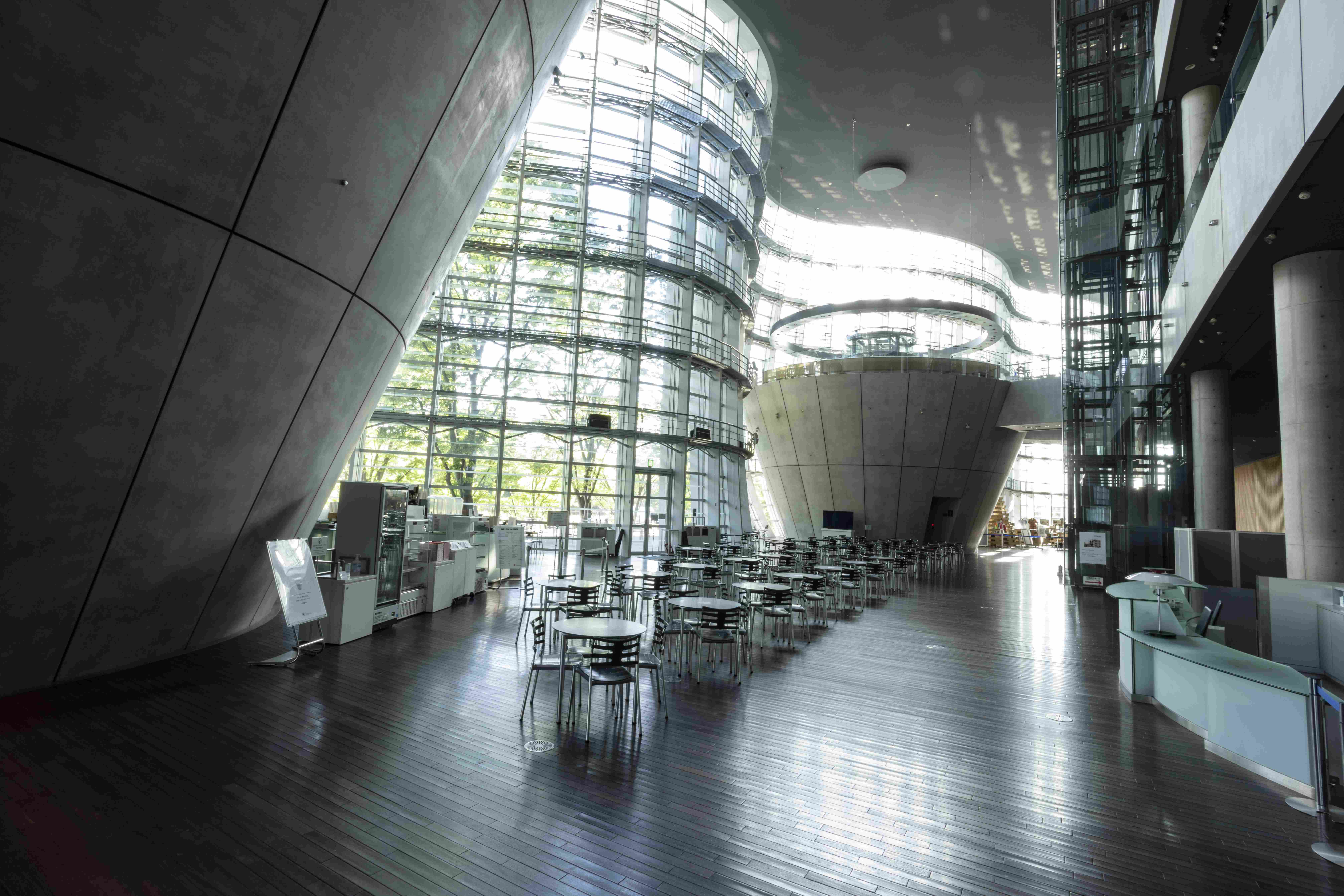 🎨 국립신미술관 이미지 7