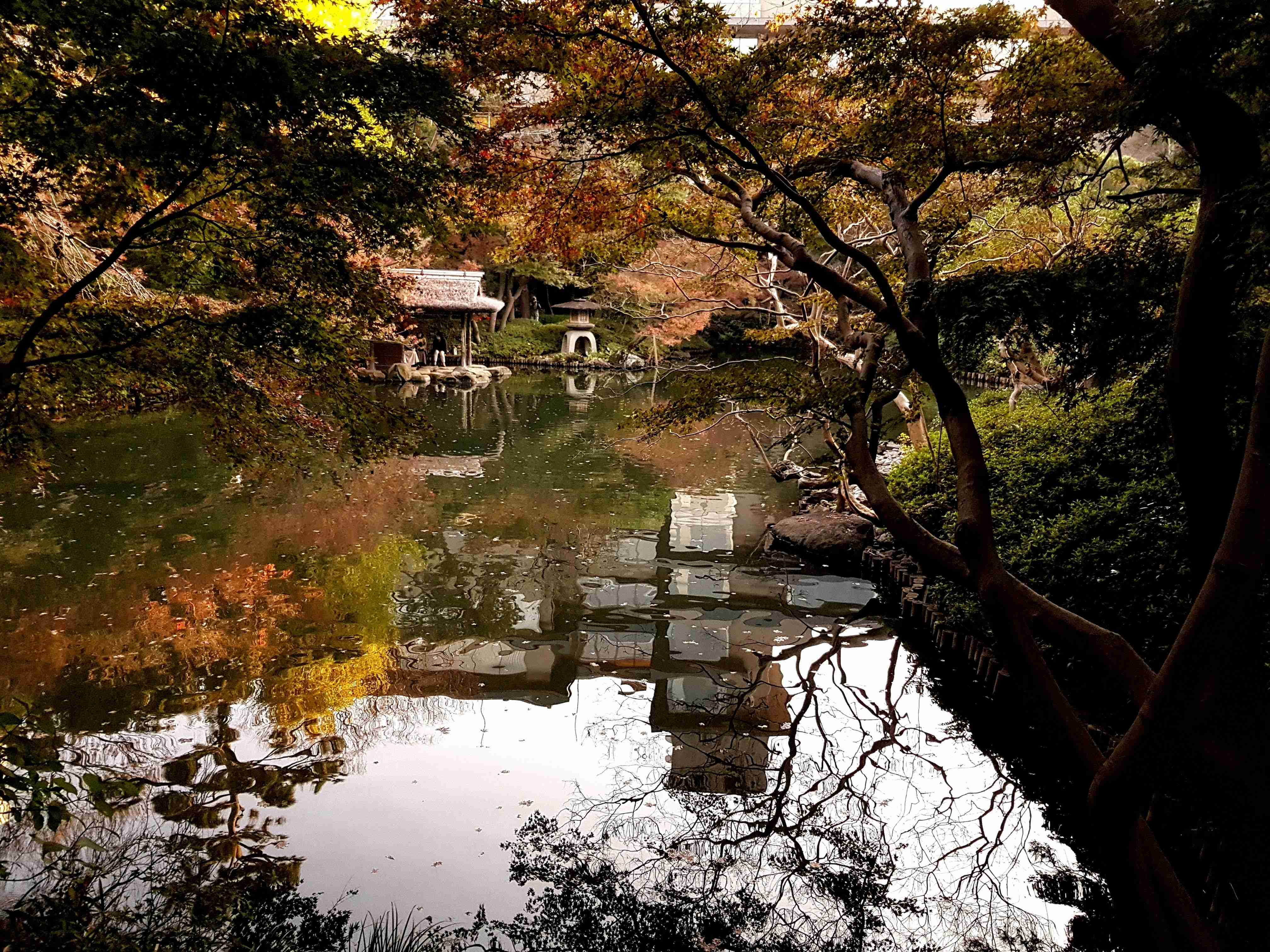 🌳 핫포엔 이미지 1