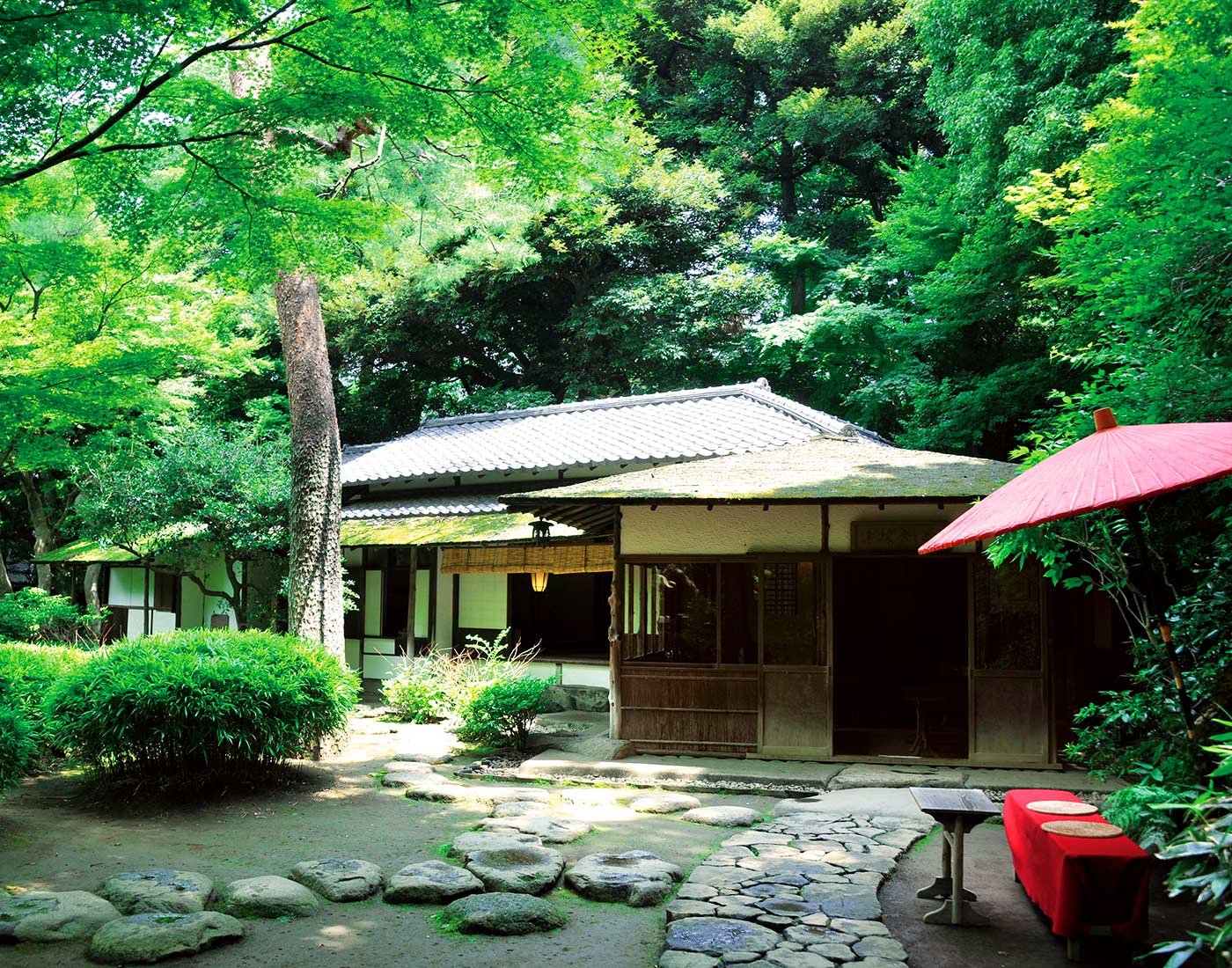 🌳 핫포엔 이미지 4