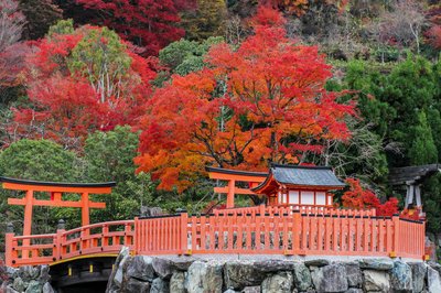 ⛩️ 승미사(카츠오지) 이미지 2