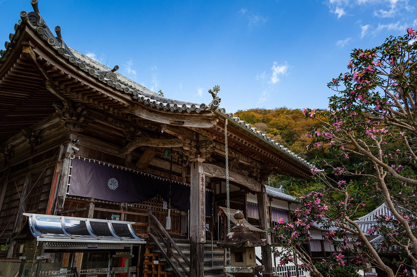 🏯 다이시지(大師寺) 이미지 6