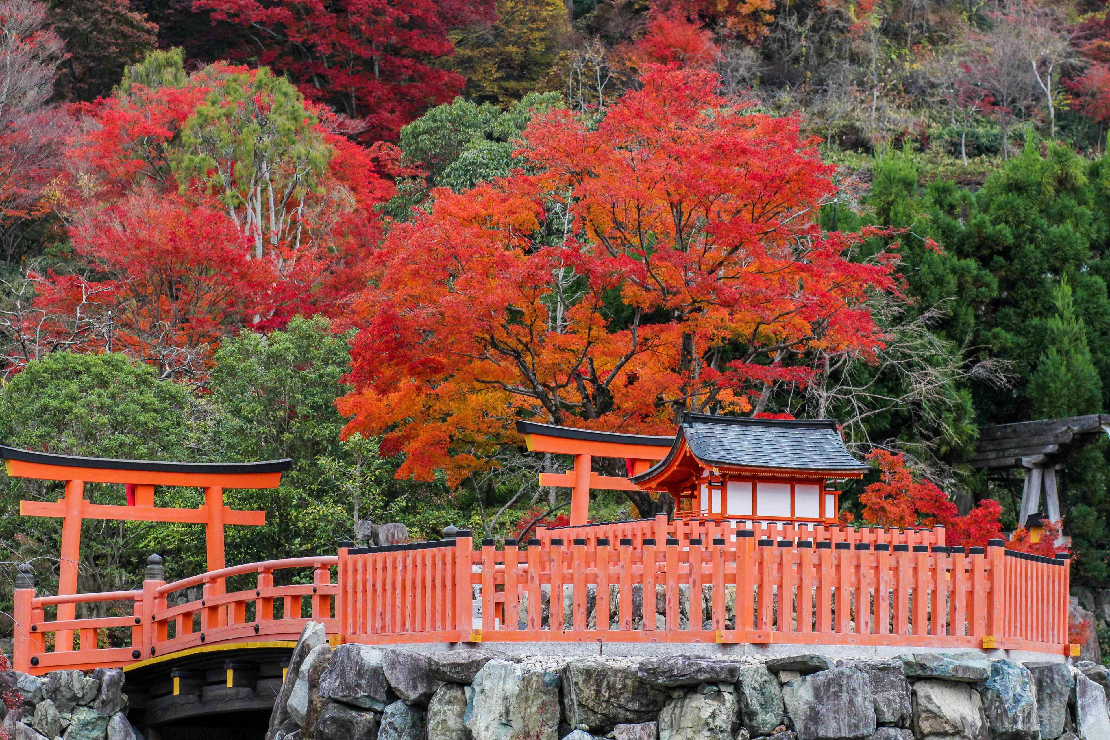 ⛩️ 제석사(타이샤쿠지)