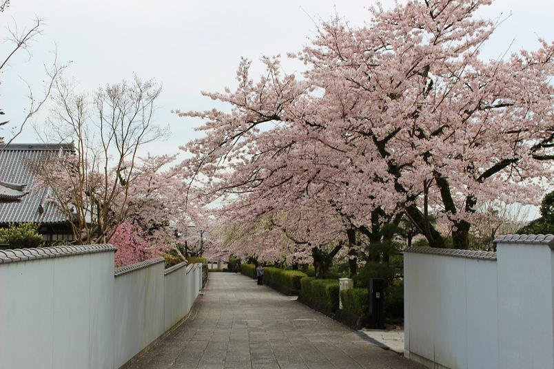 ⛩️ 제석사(타이샤쿠지) 이미지 4
