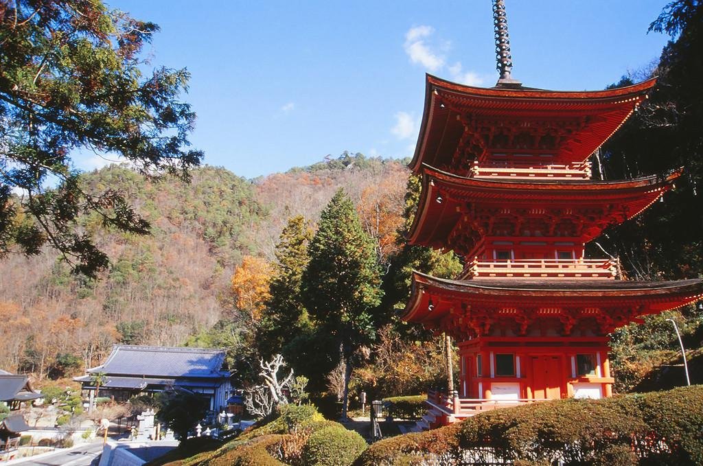 🏯 장복사(초후쿠지) 이미지 1