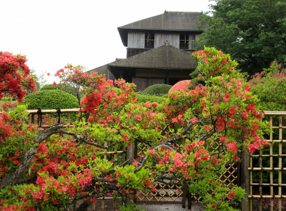 🌸 카이라쿠엔 이미지 3