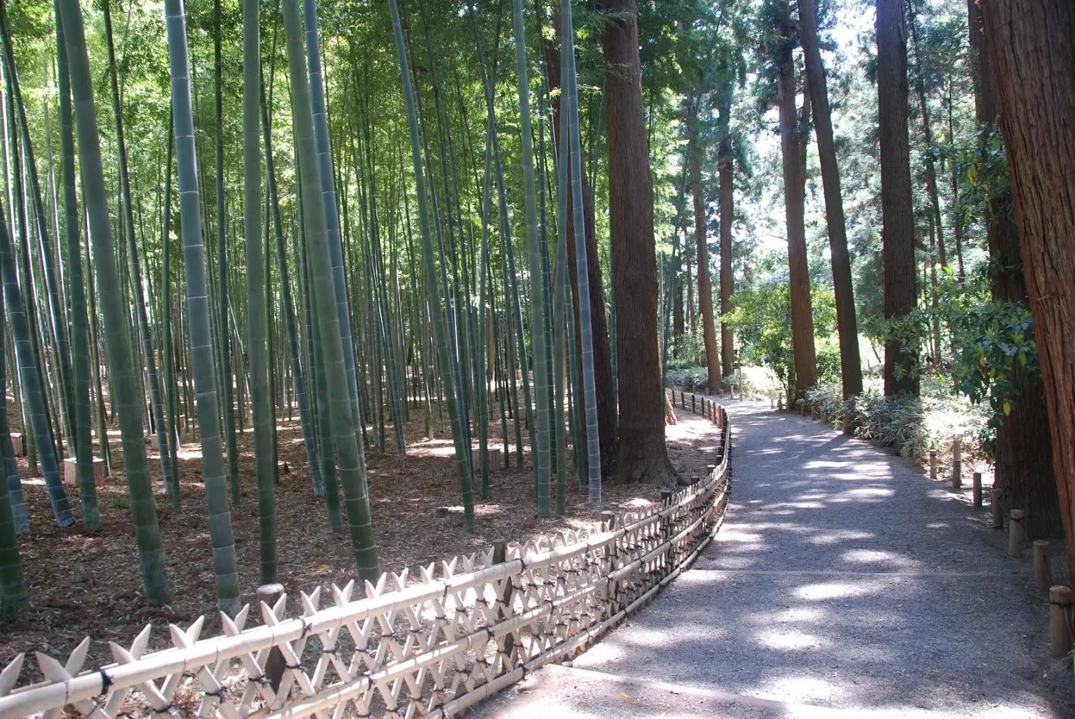 🌸 카이라쿠엔 이미지 4