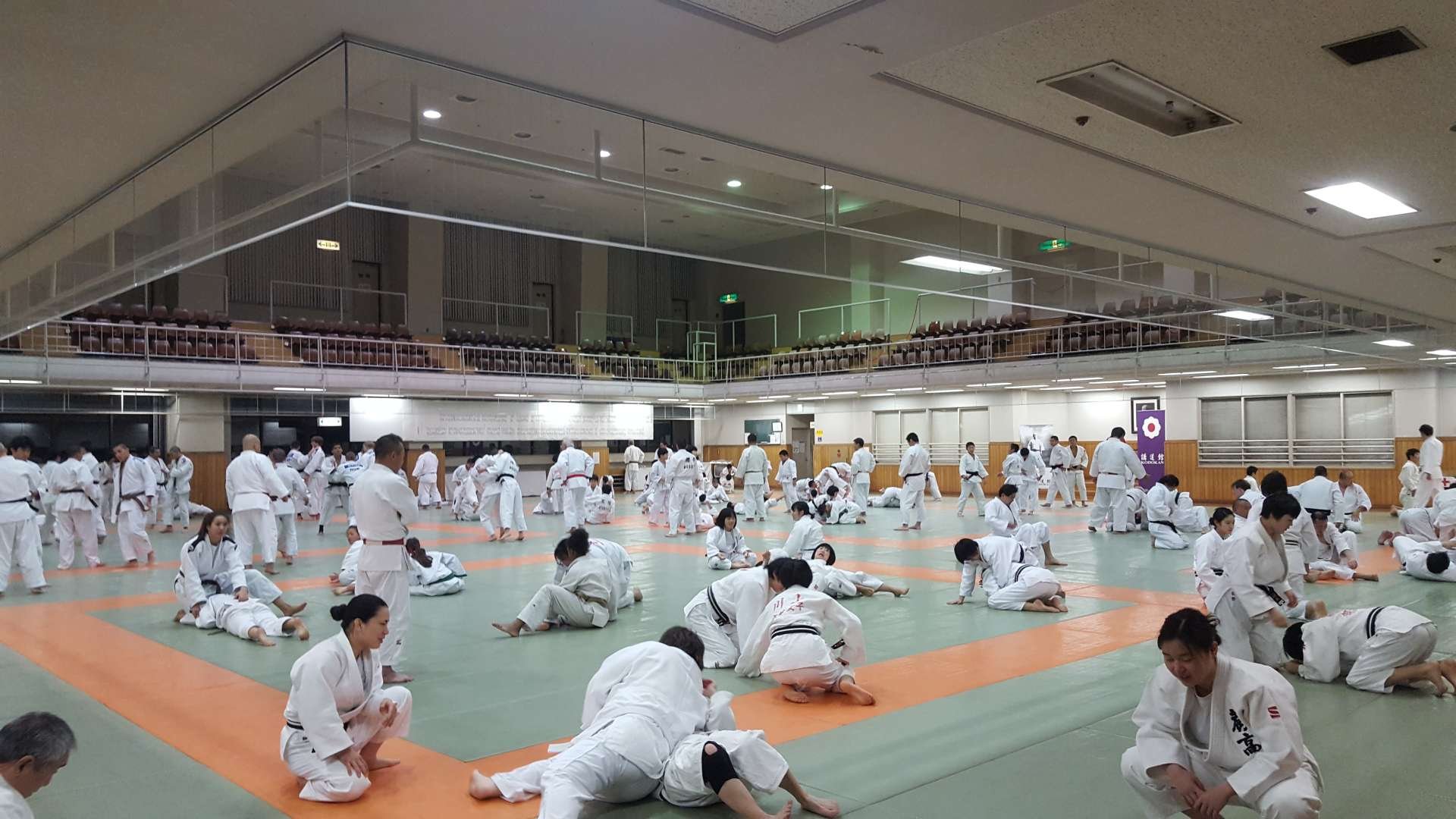 🥋 강도관(코도칸)