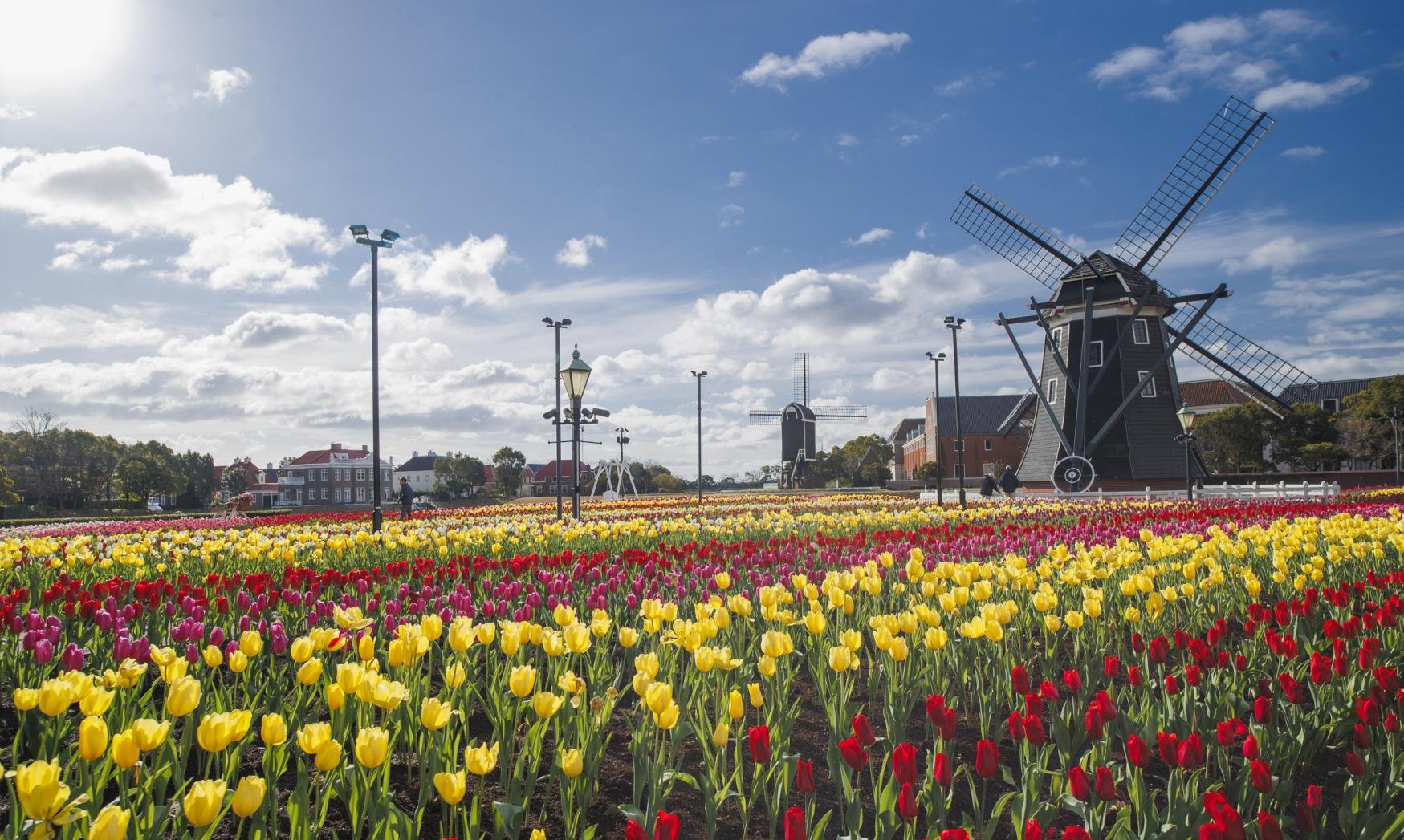 🌸 하우스텐보스 이미지 4