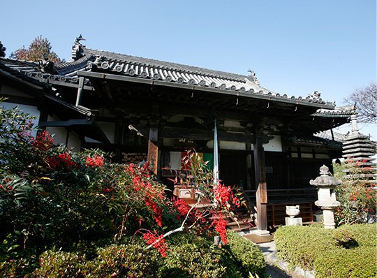 🏯 성림사(쇼린지) 이미지 1