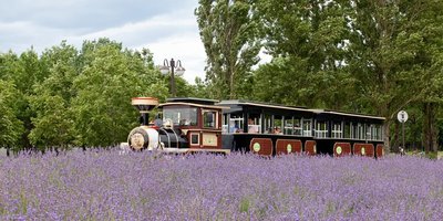 🏞️ 사토랜드