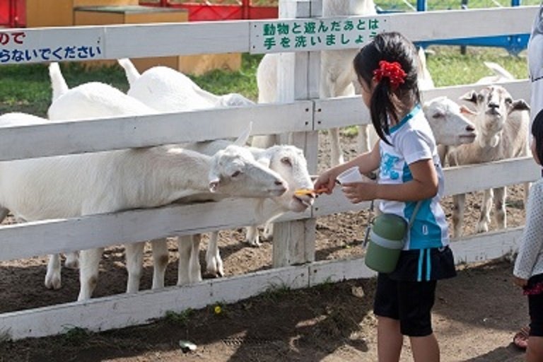🏞️ 사토랜드 이미지 3