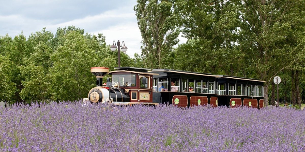 🏞️ 사토랜드 이미지 9