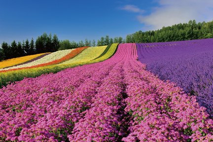 🏞️ 사토랜드 이미지 7